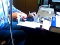 Hand wound guitar pickup