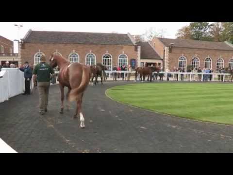 Tattersalls October Yearling Sale Book 1 Day Three 2012 