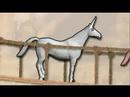 Charlie The Unicorn
