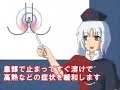 せっかくだから赤選ぶ~狂気の越前~