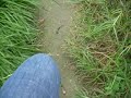 walking in D.F.