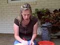 activity-making-and-sinking-a-foil-boat-cullens-abcs.html