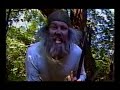 Wildman - Dana \"Short Order\" Cooke