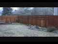 Snowy December Day 2009.wmv