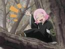 yachiru-the-pink-wonder.html