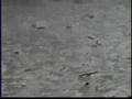 debris flow event | 25 December 2003 | Devore, California