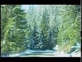 Snowservice Cortina Noleggio, vendita sci Shop & Rent Ski