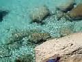 videos de cala azzurra isola favignana