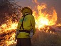 Incendios Forestales - Talca - Chile