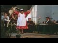 flamenco