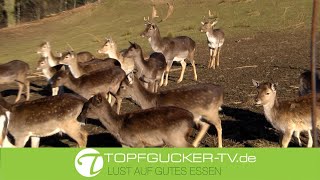 Marinierter Hirschbraten in Wacholder-Rotweinsoße | Wildrezept |  Topfgucker-TV