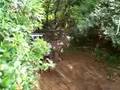 4x4 jeep 3paloto en El Higuero