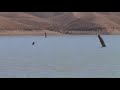 Celebration of International Day of Wetlands 2011: observation of migratory birds in the dams of Biskra (Algeria)