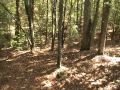 Watson Mill Bridge State Park Georgia.MOD - YouTube
