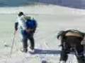 videos de sestola
