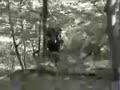 bigfoot-sighting-in-luxembourgeurope-better-quality.html