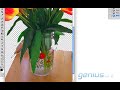 Cutting out objects in Photoshop for Video