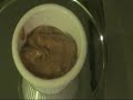 Fat Loss Tips! Shocking! Fat Loss Tips! Shocking!
