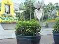 Thailand 2006 Video 3