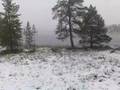Snöchock i juni...inte juli