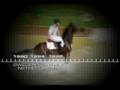 2010 Alltech FEI World Equestrian Games Promo Video