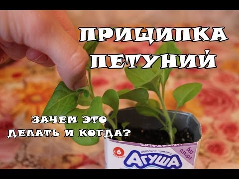 Тусклые цвета на телефоне Тусклые цвета на телефоне