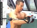 Musclemania-bodybuil