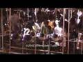Exodus Steel Orchestra Live - WST Steelband Music Channel
