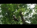 accro-branche