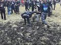Wacken 2007 Wacken 2007
