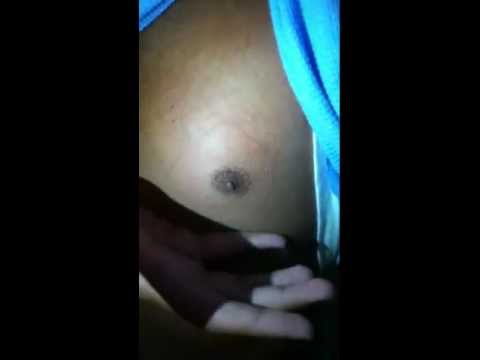 lamanar -
