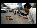 amigos-de-la-superior.html