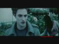 Twilight - Seventeen Forever