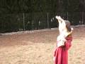 videos de santasemana