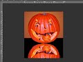 Create a mirror image with PSP Photo X2