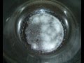 Making Butane Honey Oil
