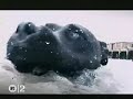 teenage fanclub - i need direction