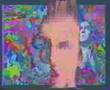 Borghesia - Discipline