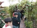 lễ