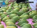 aperçu de la vidéo