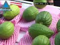 aperçu de la vidéo