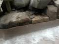 videos de Disney 2008 - Typhoon Lagoon