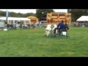 Views of Cheshire - Cheshire Game & Country Show 2008 3/5