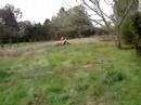 Cr125 saltando en links