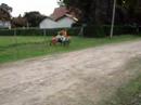 Cr125 saltando en links