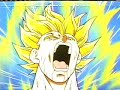 Goku vs Vegeta Goku vs Vegeta