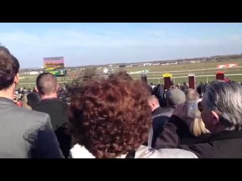 grand national betting