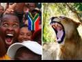 Sud Africa: un viaggio nel paese dei Mondiali 2010