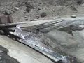 video 54