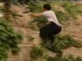 CTV Parkour